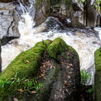 Bracklinn Falls, near Callander